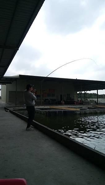 DSC_0009.JPG DSC_0009.JPG