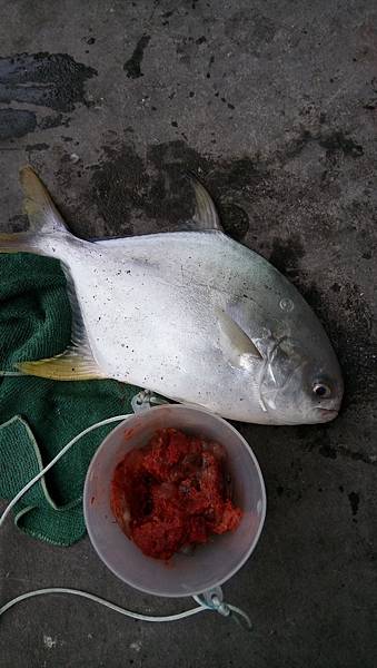 DSC_0013.JPG DSC_0013.JPG