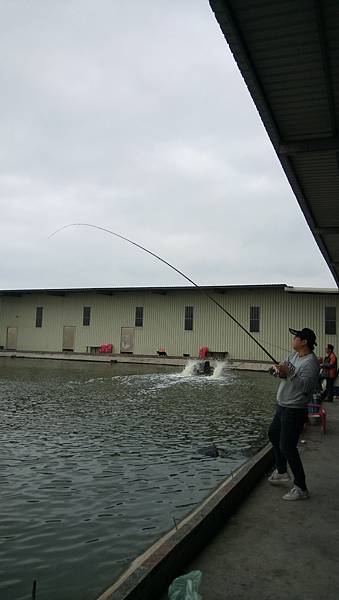 DSC_0015.JPG DSC_0015.JPG