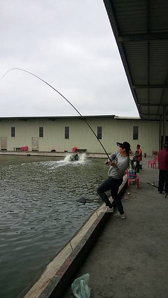 DSC_0014.JPG DSC_0014.JPG