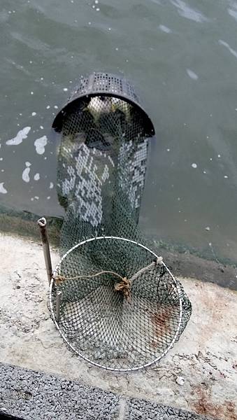 DSC_0021.JPG DSC_0021.JPG