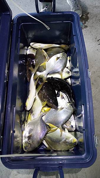 DSC_0027.JPG DSC_0027.JPG