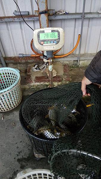 DSC_0026.JPG DSC_0026.JPG