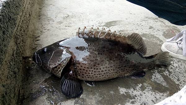 DSC_0019.JPG DSC_0019.JPG