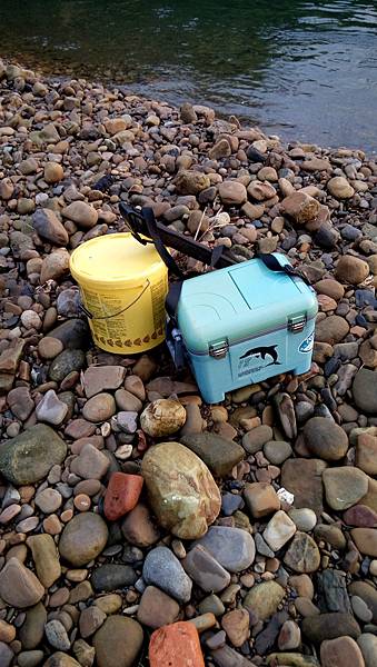 DSC_0007.JPG DSC_0007.JPG