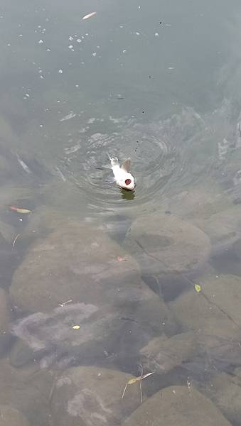 DSC_0018.JPG DSC_0018.JPG