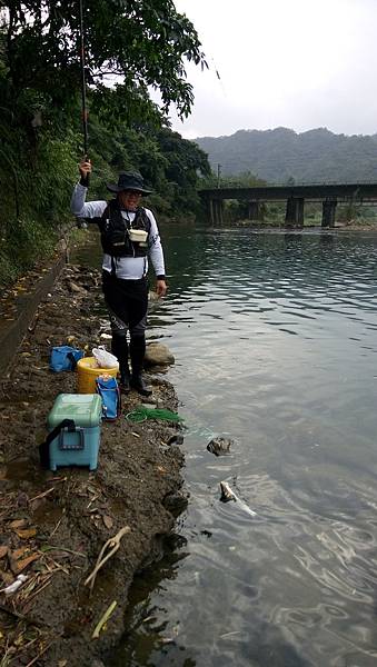 DSC_0020.JPG DSC_0020.JPG