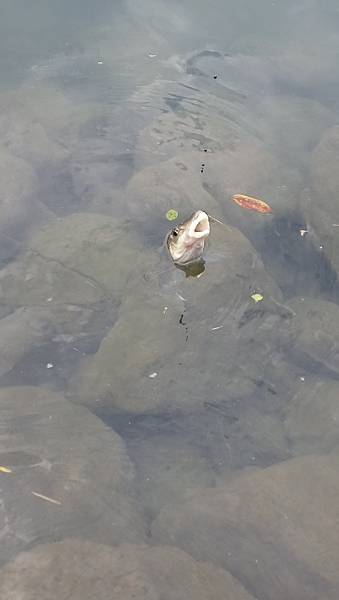 DSC_0019.JPG DSC_0019.JPG