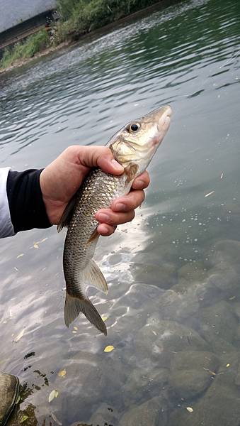 DSC_0022.JPG DSC_0022.JPG