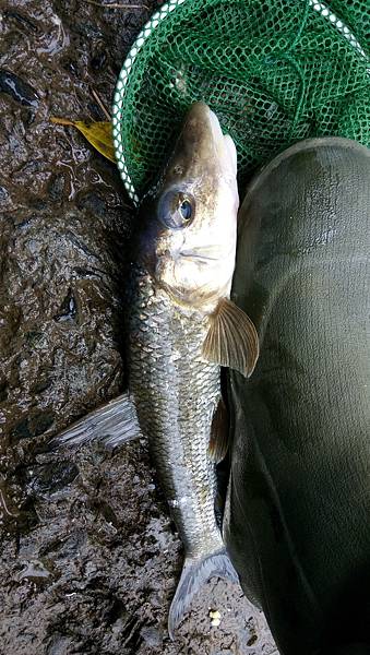 DSC_0023.JPG DSC_0023.JPG