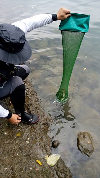 DSC_0041.JPG DSC_0041.JPG