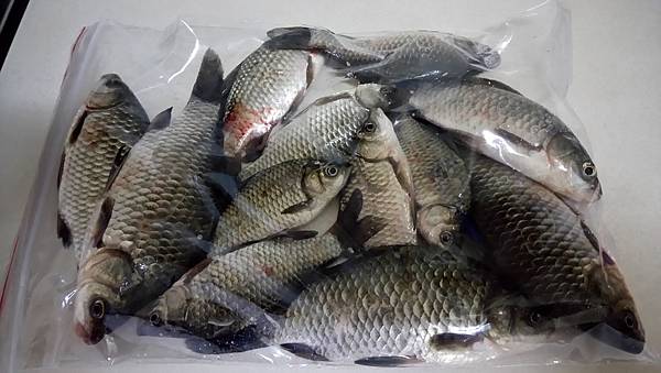 DSC_0046.JPG DSC_0046.JPG