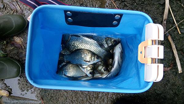 DSC_0045.JPG DSC_0045.JPG