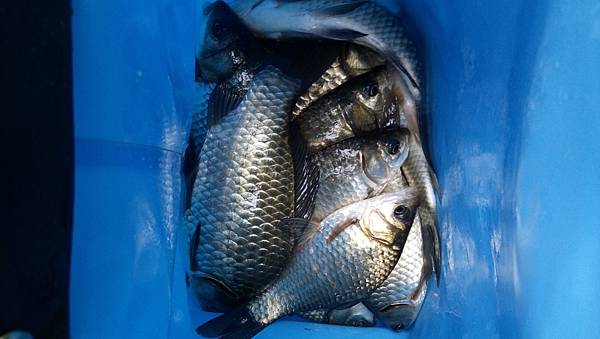 DSC_0044.JPG DSC_0044.JPG