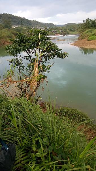 DSC_0010.JPG