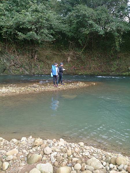 1486130436719.jpg 1486130436719.jpg