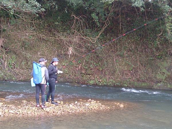 1486130428044.jpg 1486130428044.jpg