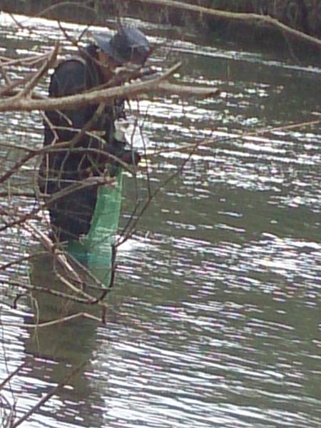 1486130446440.jpg 1486130446440.jpg