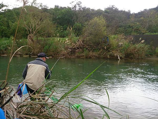 1486130456794.jpg 1486130456794.jpg