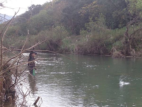 1486130468673.jpg 1486130468673.jpg