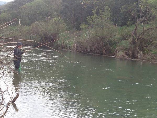 1486130481978.jpg 1486130481978.jpg