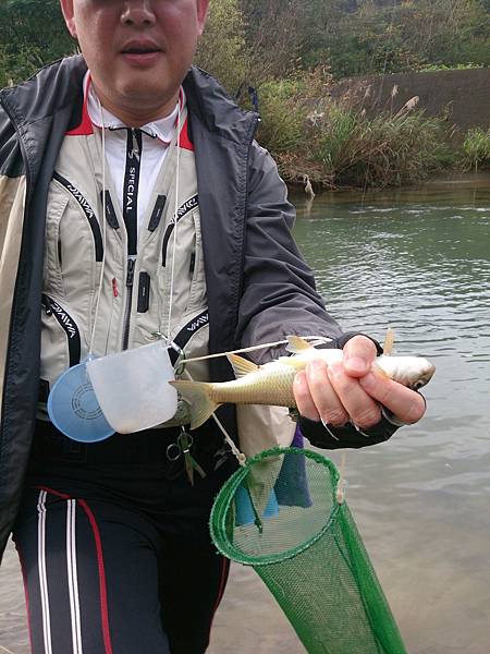 1486130528672.jpg 1486130528672.jpg