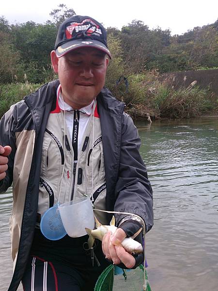 1486130533450.jpg 1486130533450.jpg