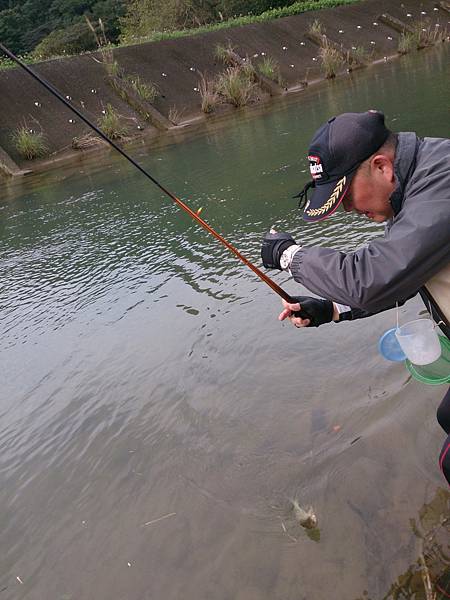 1486130538147.jpg 1486130538147.jpg