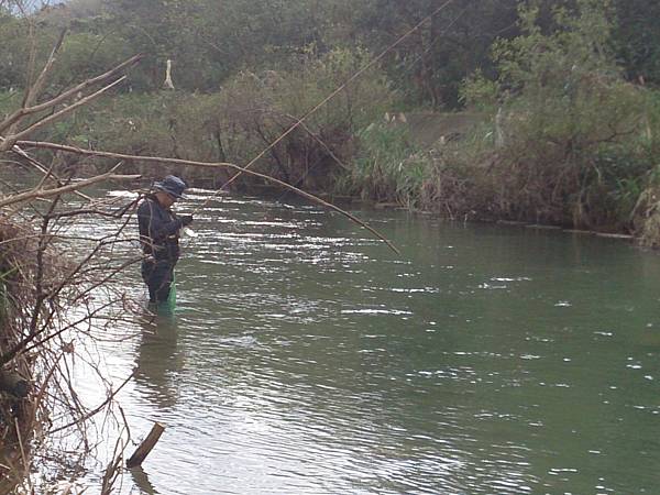 1486130493942.jpg 1486130493942.jpg