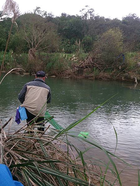 1486130451254.jpg 1486130451254.jpg