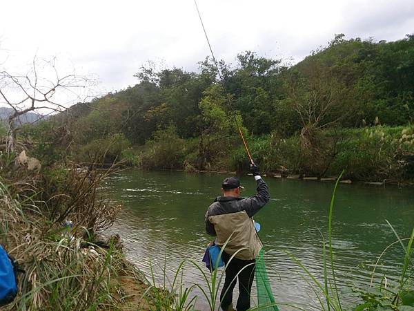 1486130550995.jpg 1486130550995.jpg