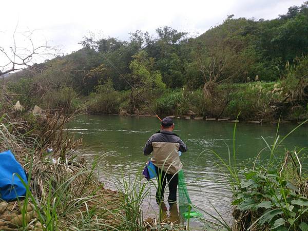 1486130546767.jpg 1486130546767.jpg