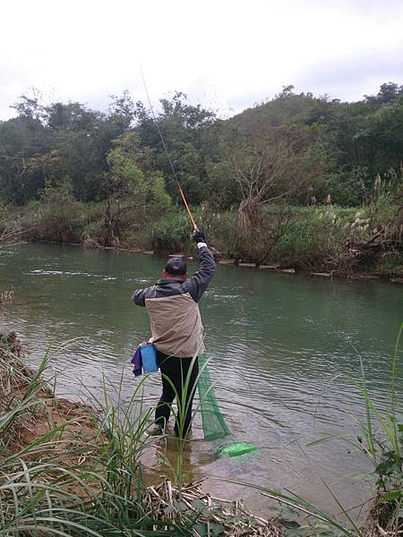 1486130555208.jpg 1486130555208.jpg