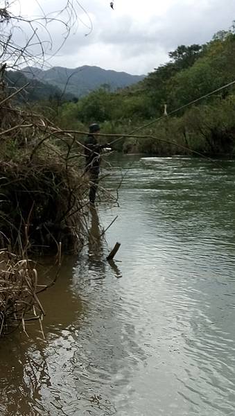 DSC_0010.JPG DSC_0010.JPG