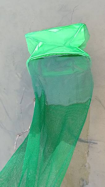 DSC_0013.JPG DSC_0013.JPG