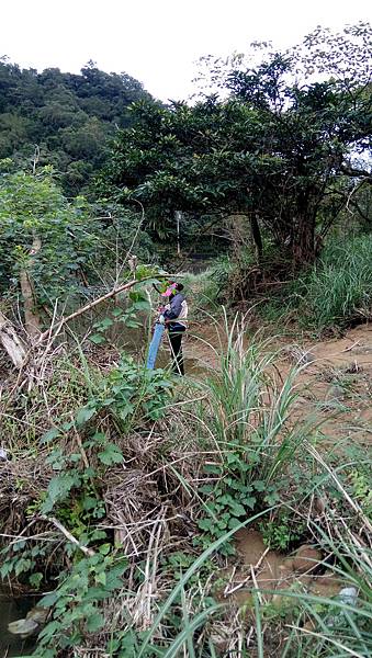 DSC_0006.JPG DSC_0006.JPG