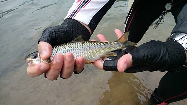 DSC_0029.JPG DSC_0029.JPG