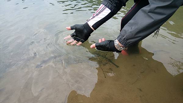 DSC_0033.JPG DSC_0033.JPG