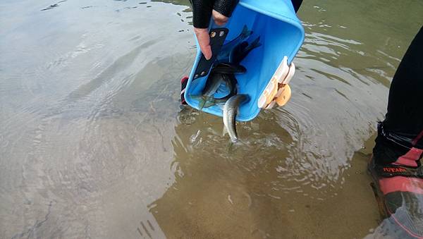 DSC_0038.JPG DSC_0038.JPG