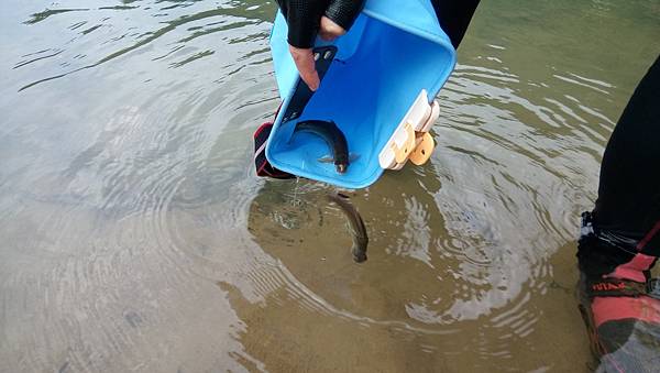 DSC_0042.JPG DSC_0042.JPG