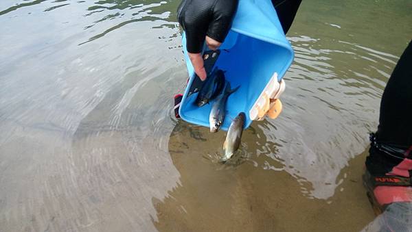 DSC_0040.JPG DSC_0040.JPG