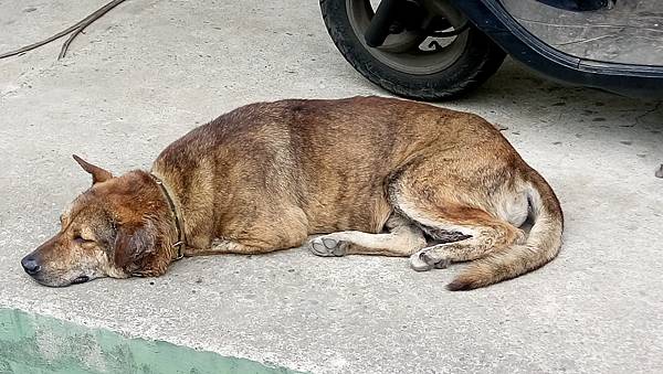 DSC_0009.JPG DSC_0009.JPG