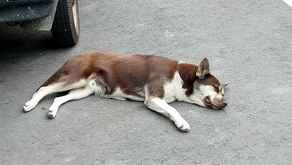 DSC_0010.JPG DSC_0010.JPG