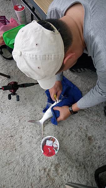 DSC_0031.JPG DSC_0031.JPG