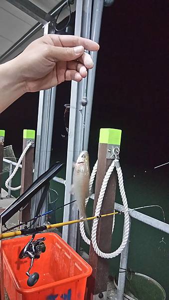 DSC_0042.JPG DSC_0042.JPG