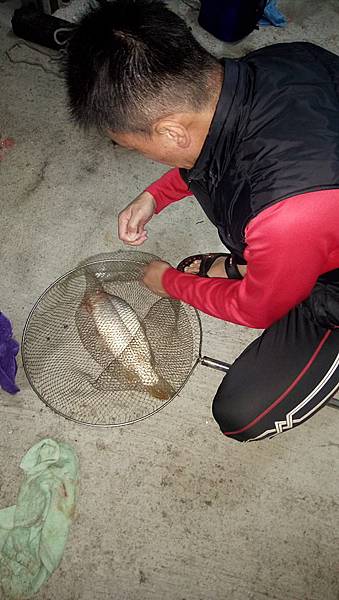 DSC_0059.JPG DSC_0059.JPG