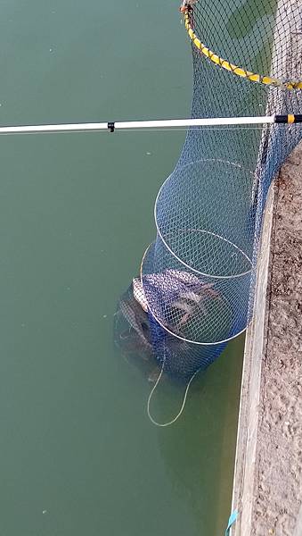 DSC_0071.JPG DSC_0071.JPG