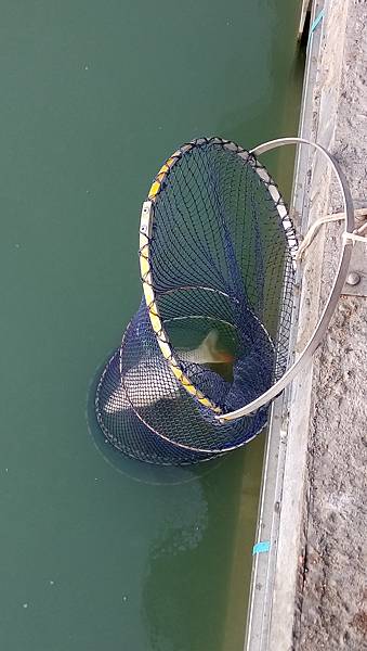 DSC_0072.JPG DSC_0072.JPG