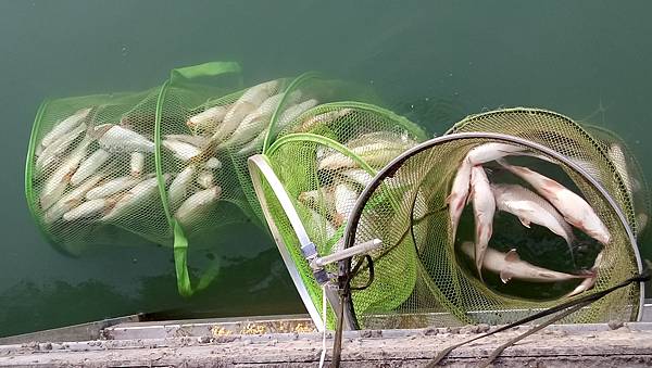 DSC_0070.JPG DSC_0070.JPG