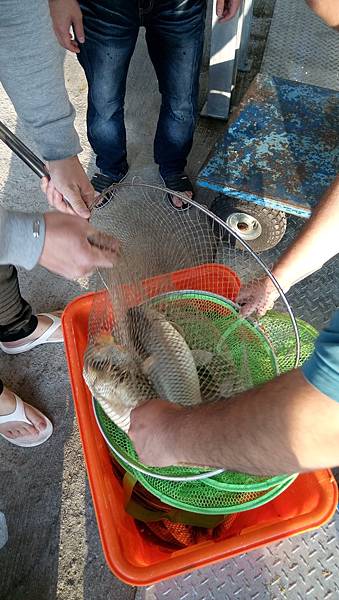 DSC_0073.JPG DSC_0073.JPG